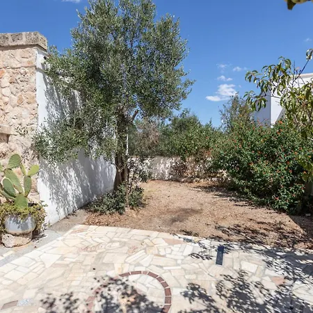 Azalea Con Giardino A *